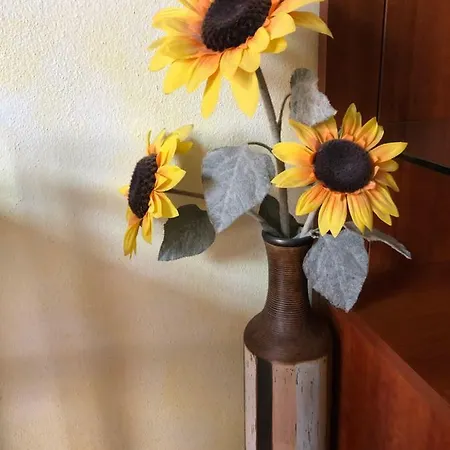 Nido Isola بيرغامو